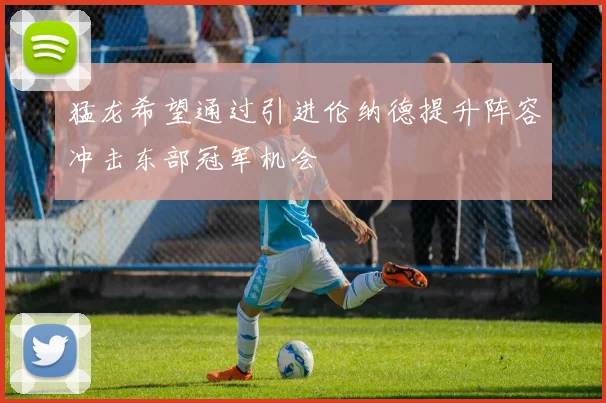 猛龙希望通过引进伦纳德提升阵容冲击东部冠军机会